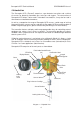 Honeywell Sensepoint XCD Technical manual - Page 6