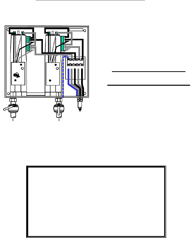 Bradford White EFT150004D10 Water Heater Troubleshooting manual PDF