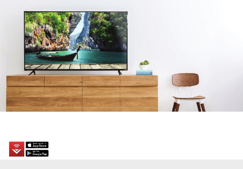 Vizio E43E2, E50E1, E50xE1, E50E3, E55E1, E55E2,E60E3 TV Quick