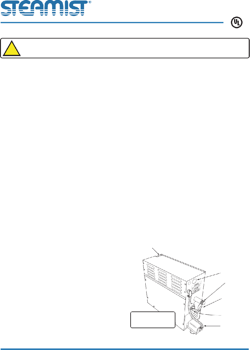 Steamist SM11 Portable Generator Installation instructions PDF View